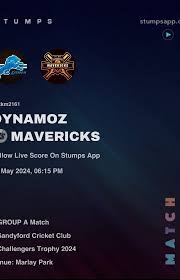 Image result for Sandyford Cricket Club