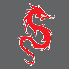 Image result for Red Dragon Taekwondo club