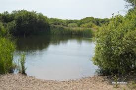 Image result for Diggle Angling Club