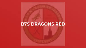 Image result for Norwich Dragons Hockey Club