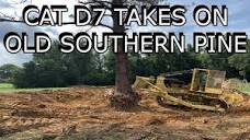 CAT D7 Takes On Old Southern Pine Tree "Old Iron Working" - YouTube