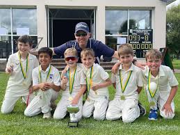 Image result for Chorleywood Cricket Club