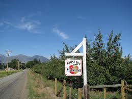 Attēlu rezultāti vaicājumam “Libanotis montana fruit”