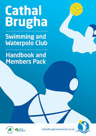 Image result for Cathal Brugha Asc