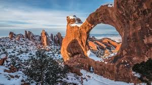 Image result for Atherton Devils