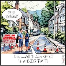 Image result for Grafham & Smithbrook Cricket Club