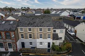 Image result for Llantwit Lions