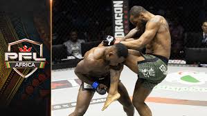 Image result for Cardiff Mma