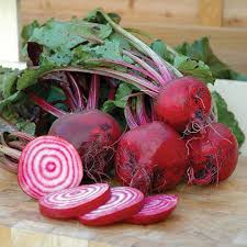 Image result for Beta vulgaris