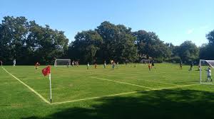 Image result for Hadlow Cricket Club