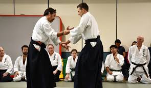 Image result for Aikido - Takama Hara Aikido Dojo