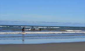 Image result for Seabrook Sea Anglers Association