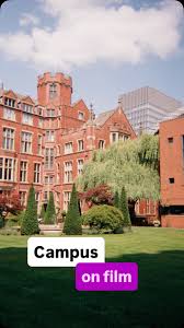 Image result for Sheffield University
