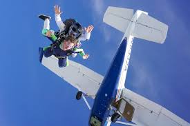 Image result for skiptondivers