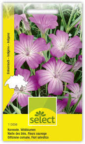 Image result for Kornrade