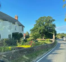 Image result for Pelynt Smbc