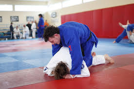 Image result for Aylwin Judo Club