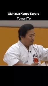 Image result for Taunton Karate Jutsu