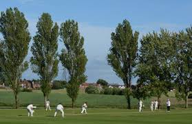 Image result for London Fields Cricket Club