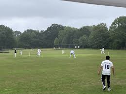 Image result for Hollingworth Cricket Club