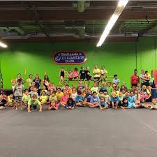 Image result for Redcar Gymnastics Club