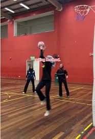 Image result for Tibberton Netball Club