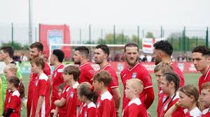 Image result for Walton & Hersham Football Club