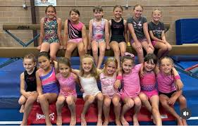 Image result for South Western Gymnastics Club