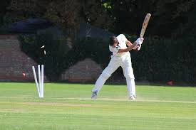 Image result for Thriplow Cricket Club
