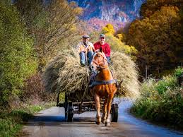 Image result for romania tehron