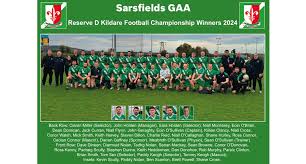 Image result for Sarsfield Gfc