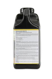 Attēlu rezultāti vaicājumam “Protapion sp.”