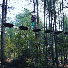 Image result for Go Ape! Moors Valley