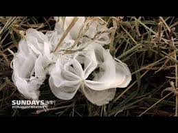 Attēlu rezultāti vaicājumam “Frost Flowers”