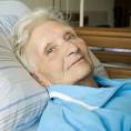 Unraveling Alzheimer's Disease Plaques: Scientific American