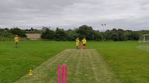 Image result for Broughton Cricket Club
