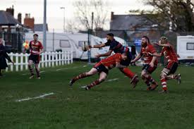 Image result for Novocastrians Rugby Football Club