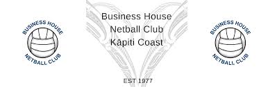 Image result for Icons Netball Club