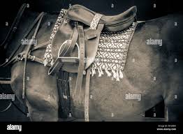 Image result for Kirtlington Park Polo Club