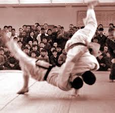 Image result for Blackpool Budokan Martial Arts