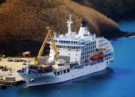 Attēlu rezultāti vaicājumam “Aranei exuvia”