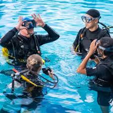 Image result for Darwen Snorkelling Club