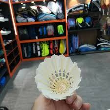 Image result for Shuttles Badminton Club (Frome)