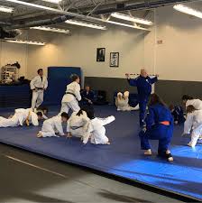 Image result for Holbrook Judo Club