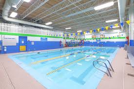 Image result for Worcester Swimming Club