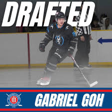 Image result for Demons Skater Hockey Club