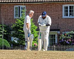 Image result for Henfield Cricket Club