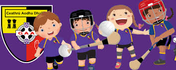 Image result for Carryduff Gaelic Athletic Club