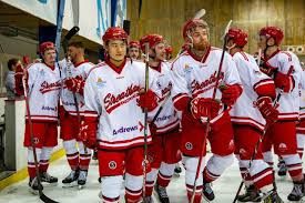 Image result for Streatham Night Wolves Ice Hockey Team