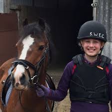 Image result for Shey Copse Riding Centre